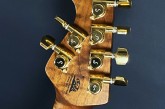 Music Man 2025 JP-15 Solar Flare-7.jpg